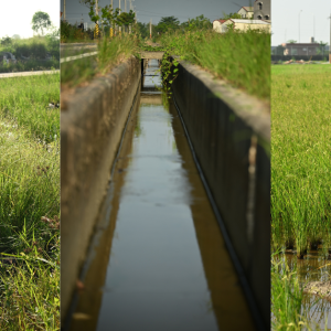 2607716420714405537d6b