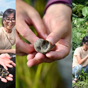 2607716522771982508eb6