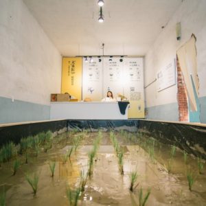 SHOPPING DESIGN｜花東最善良的米！ (1)