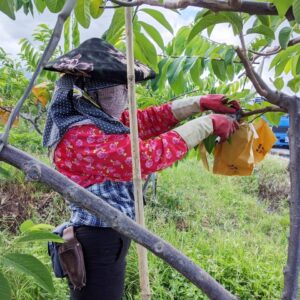 勵馨－大米缸三週年特刊 (1)