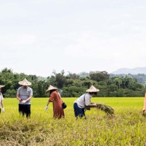 大硯建築團隊 管理部 謝偉文協理 (1)