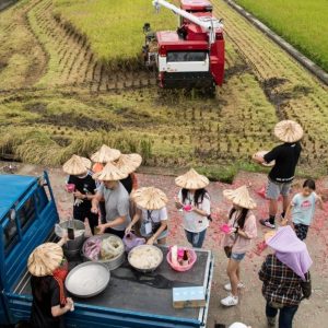 大米缸_支持企業到產地活動