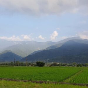 大米缸計畫是一個善的循環，如果出發點是善的 (3)