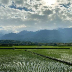 小艾策略行銷 楊冠瑩 副理 (1)