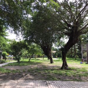 屏東伯大尼之家 之三 (2)