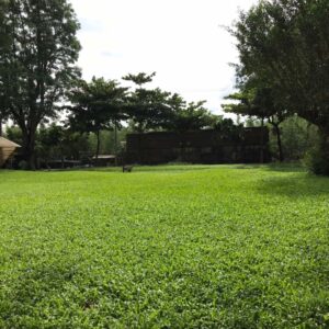 -屏東伯大尼之家-之二-(1)