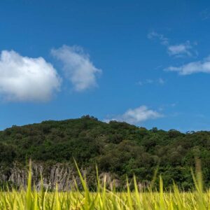 探索廣告 企劃總監 蔣明朱 (1)