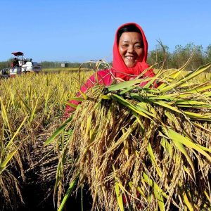 聯合新聞網｜吃飯做公益！